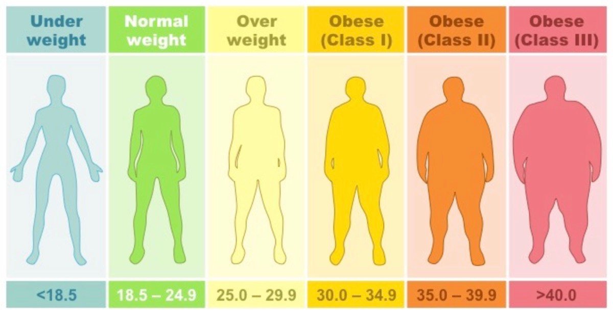 Body mass index illustration
