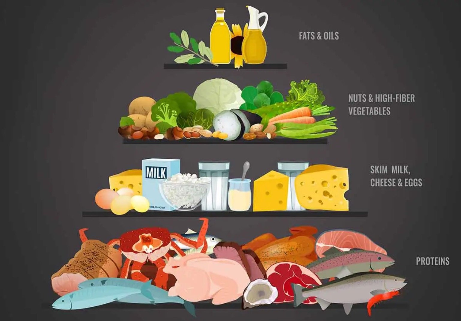 High Protein Diet