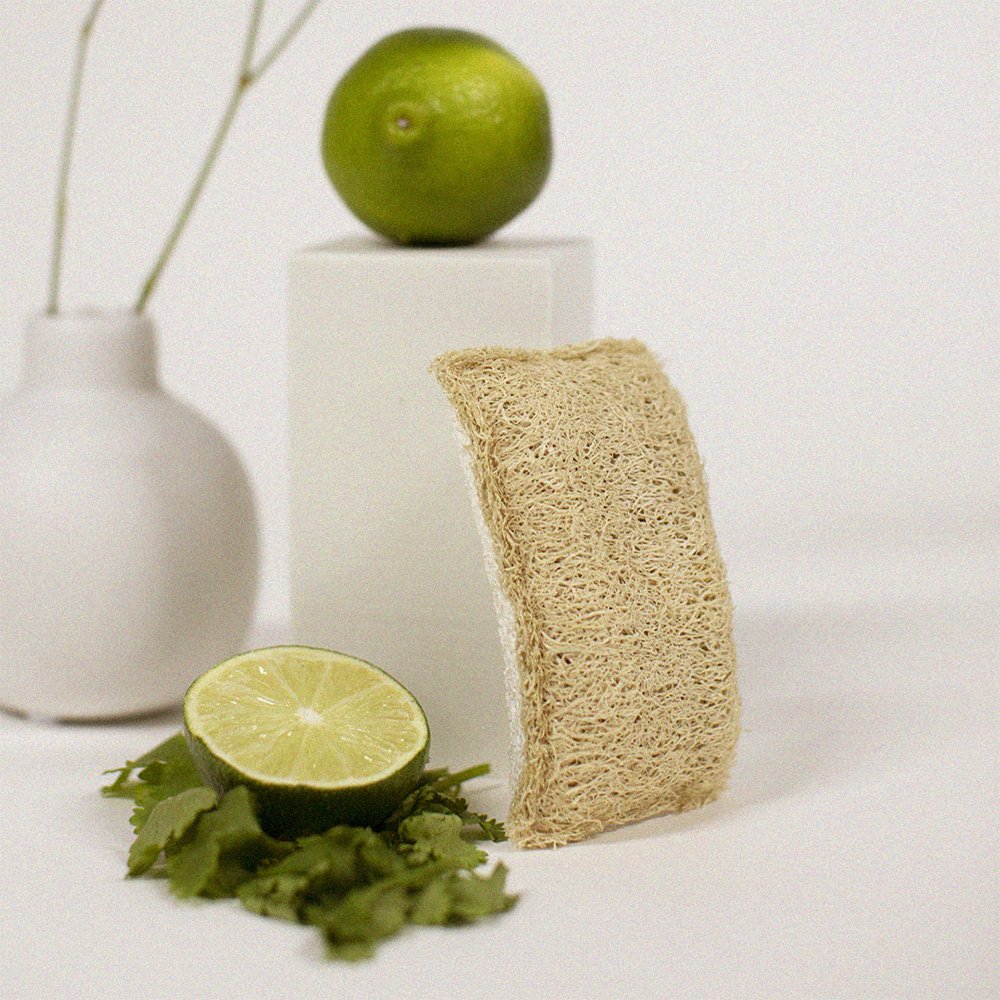 tip6 lime cut in half, above is lime on white decorative square